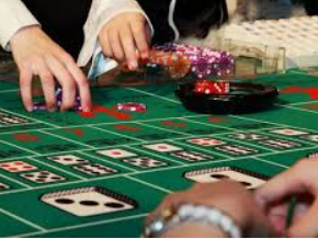 kiayun入口2024最新版